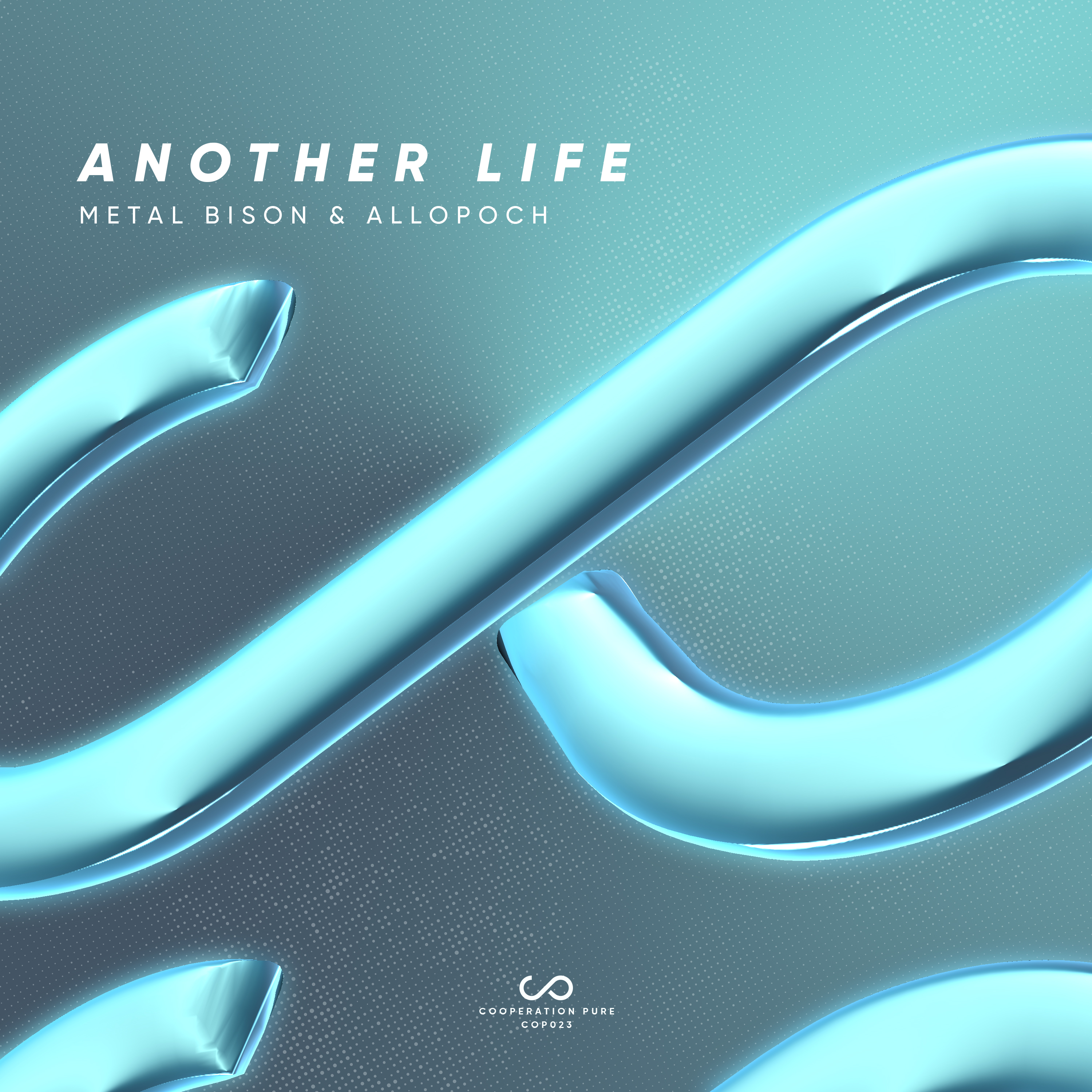 Another Life
